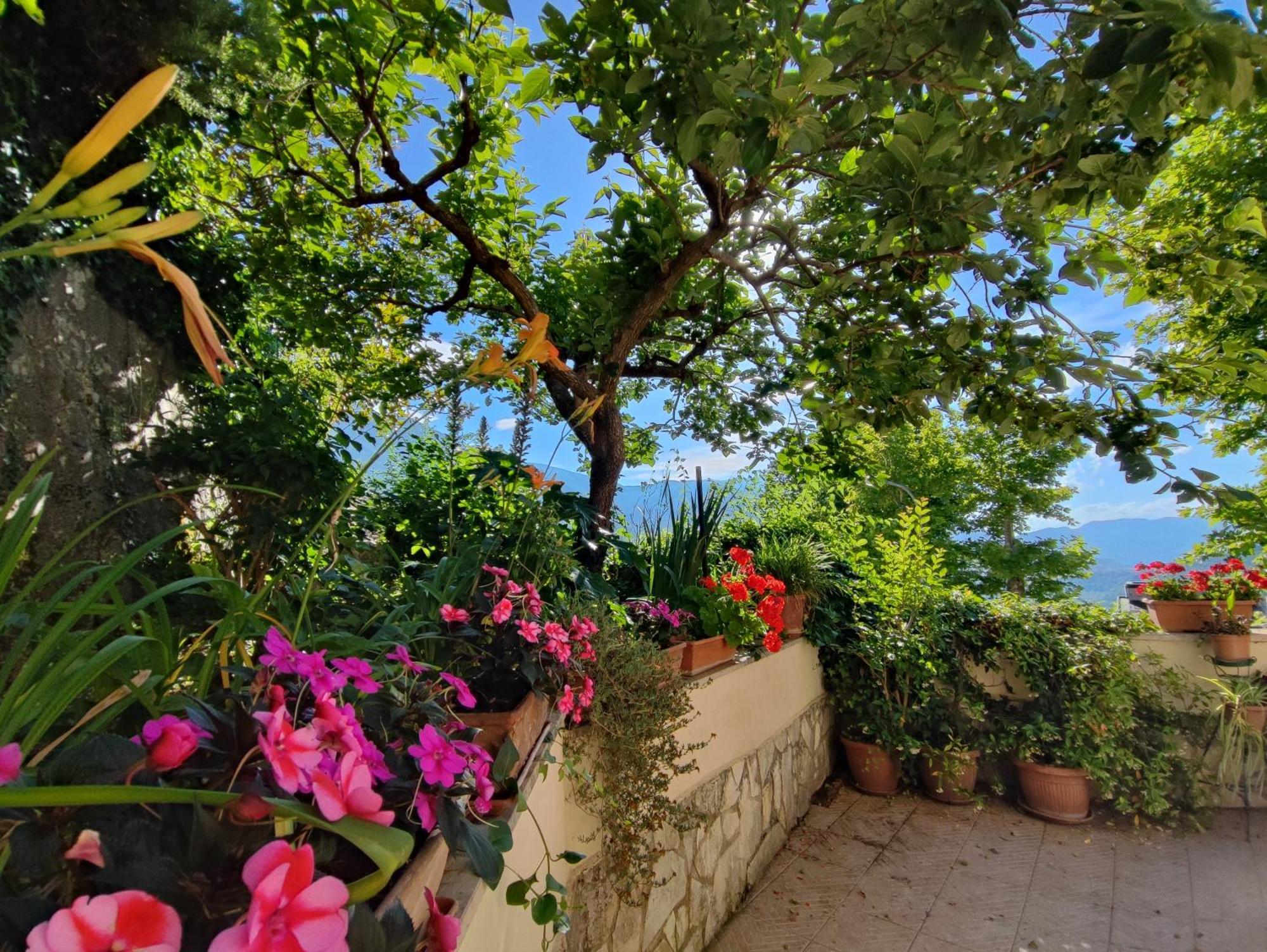 Amoroso'S House, Affittacamere كارامانيكو تيرمي المظهر الخارجي الصورة